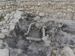 Yacimiento de la Almoloya 2023